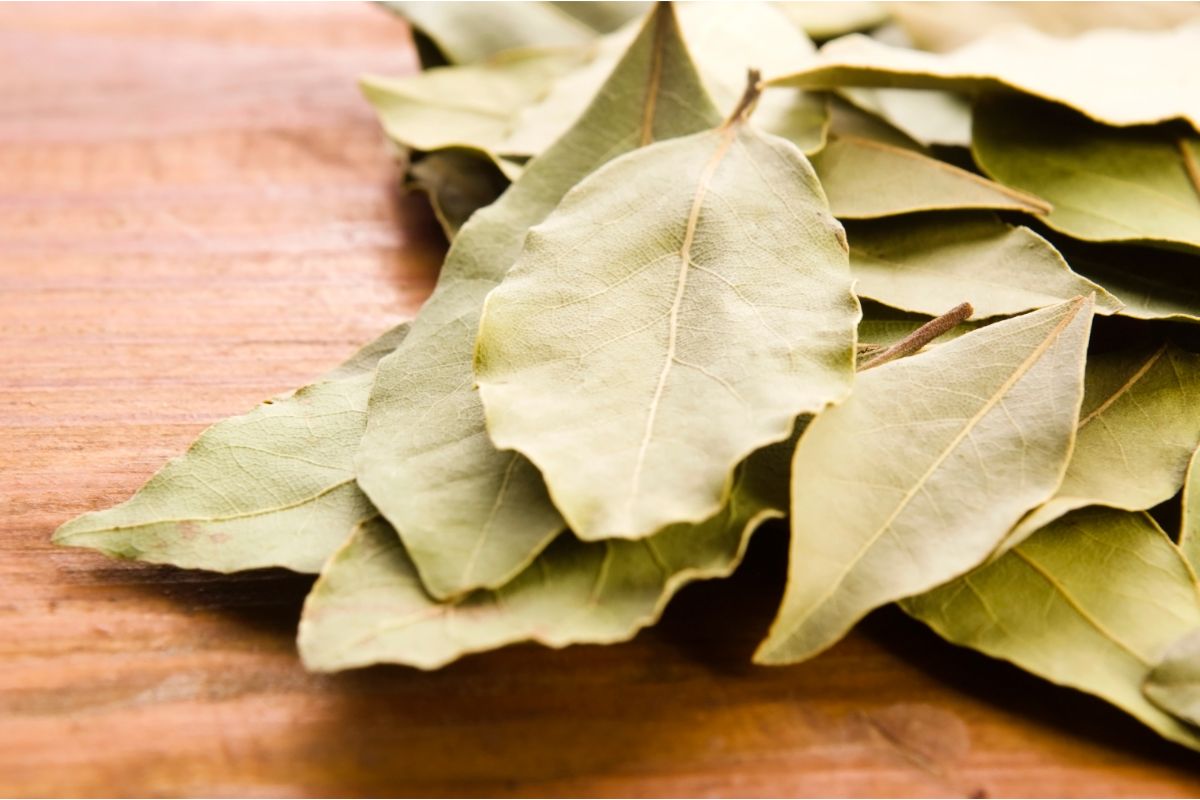 How to Achieve Fantastic Flavor with These Bay Leaf Alternatives