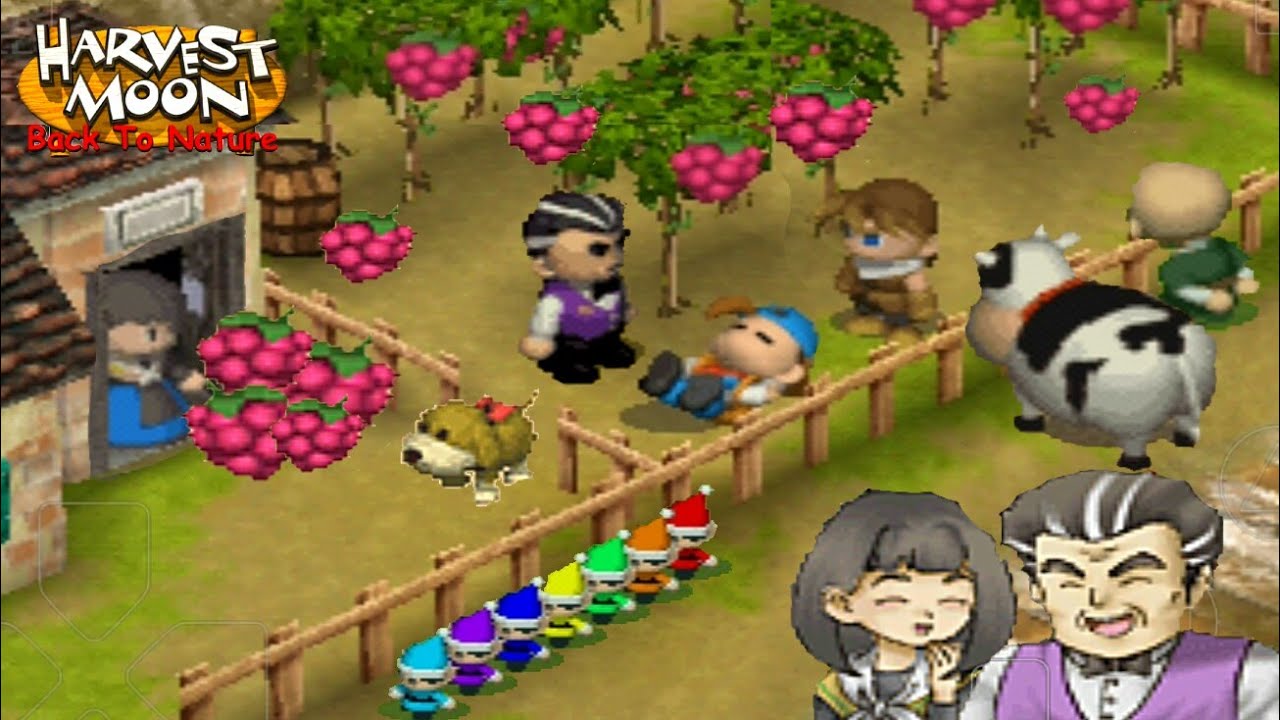 Harvest Moon Orchard: Your Guide to Autumns Bounty