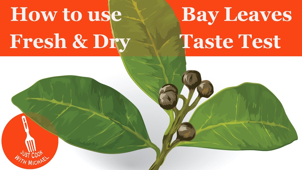 How to Achieve Fantastic Flavor with These Bay Leaf Alternatives